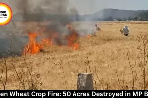 Raisen Wheat Crop Fire: 50 Acres Destroyed in MP Blaze