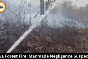 Rewa Forest Fire: Manmade Negligence Suspected