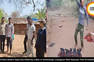 9 Rare Shekru Squirrels Killed by a Man in Dantewada, Instagram Reel Exposes Then Arrested