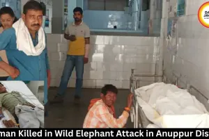  Woman Killed in Wild Elephant Attack in Anuppur District