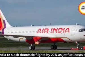 Air India to Cut Domestic Flights by 22% Over Fuel Costs