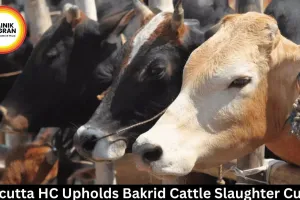 Calcutta HC Upholds Bakrid Cattle Slaughter Curbs