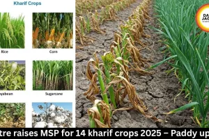 Centre raises MSP for 14 kharif crops 2025 – Paddy up ₹72