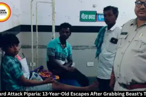  Leopard Attack Piparia: 13-Year-Old Escapes After Grabbing Beast's Throat