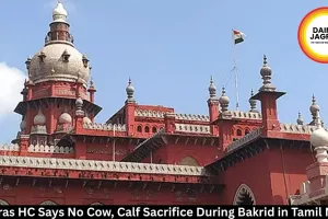 Madras HC Bars Cow Sacrifice During Bakrid in Tamil Nadu