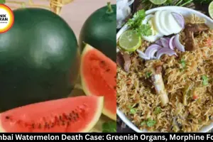 Mumbai Watermelon Death Case: Greenish Organs, Morphine Found