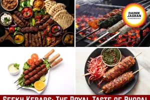 Seekh Kebabs: The Royal Mughlai Delight of Bhopal