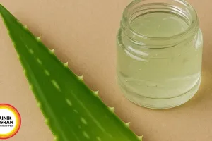 Natural Skin Care Hacks for Summer: Aloe Vera & Sandalwood