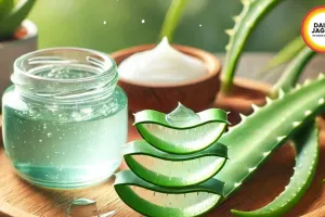  Aloe Vera Internal Use Natural Health Hack Summer Acidity India 2026