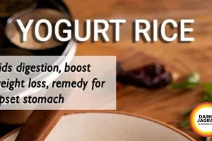 Curd Rice Benefits Summer 2026 | Natural Probiotic Indian Food