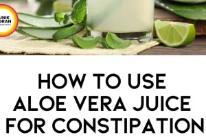 Aloe Vera Benefits for Digestion: Natural Summer Remedy