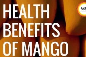  Mango Ginger Benefits: Summer Root for Immunity News