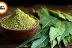Ajwain Water Benefits: Natural Remedy for Summer Bloating