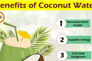 Natural Energy Hacks: Coconut Water and Millets Fight Summer Fatigue