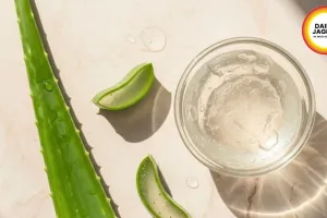 Aloe Vera Morning Routine Protects Summer Skin Naturally