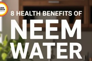 Neem Juice Natural Health Hack for Summer 2026 India