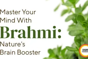Brahmi for Mental Fog Natural Summer Hack 2026 India