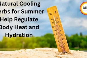 Natural Cooling Herbs for Summer Help Regulate Body Heat and Hydration