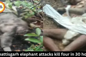 Chhattisgarh elephant attacks kill four in 30 hours