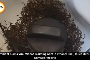 Govt Rubbishes Viral Videos Claiming Ants in Ethanol Petrol