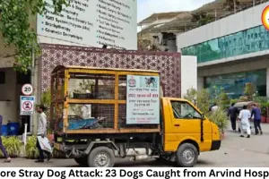 Indore Stray Dog Attack: 23 Dogs Caught from Arvind Hospital, One Attacking Dog Still Missing