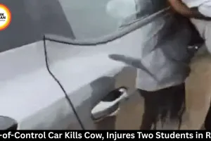  Speeding Car Kills Cow, Injures 2 Students in Rewa