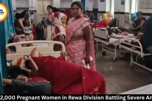Over 2,000 Pregnant Women in Rewa Face Severe Anemia Crisis
