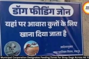 Raipur Marks Stray Dog Feeding Zones in All 70 Wards After HC Order