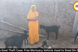 Rewa Goat Theft Case: Driver Held, Six Goats Recovered