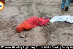 Rewa: Woman Killed by Lightning While Sowing Paddy in Field