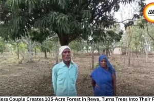 Childless Couple Creates 105-Acre Forest in Rewa, Turns Trees Into Their Family