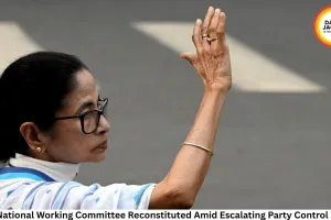 TMC National Working Committee Reconstituted Amid Escalating Party Control Battle