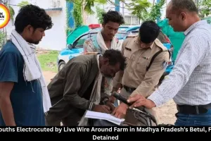 Two Youths Die After Electrocution in Betul Farm