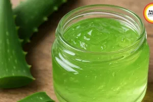 Aloe Vera Gel For Summer Skin Cools Naturally Without Chemicals