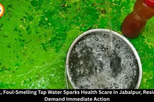 Jabalpur Water Crisis: Black, Foul-Smelling Tap Water Triggers Health Concerns in Rajiv Gandhi Ward