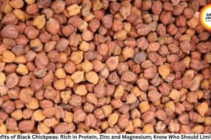 12 Benefits of Black Chickpeas: Rich in Protein, Zinc and Magnesium; Know Who Should Limit Intake