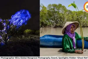 Indian Photographer Wins Global Mangrove Photography Award, Spotlights Hidden ‘Ghost Net’ Crisis
