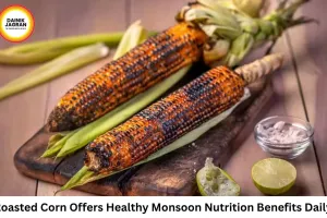 Is Eating Corn During the Monsoon Healthy? Benefits, Risks, and Who Should Be Careful