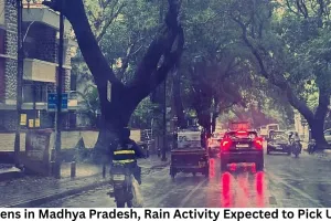 Monsoon Weakens in Madhya Pradesh, Rain Activity Expected to Pick Up After July 16
