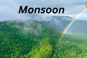 Heavy Monsoon Rains Disrupt Rail, Road Traffic Across Several States