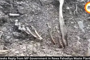 NGT Issues Notice to MP Government Over Rewa Pahadiya Waste Plant, Seeks Reply by September 3