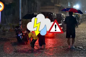 Heavy Rain Alert in 35 MP Districts as Active Monsoon Continues; State Receives 35% of Seasonal Rainfall