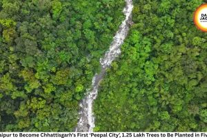 Nava Raipur to Become Chhattisgarh's First ‘Peepal City’, 1.25 Lakh Trees to Be Planted in Five Years