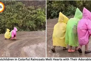 Schoolchildren in Colorful Raincoats Melt Hearts with Their Adorable Walk
