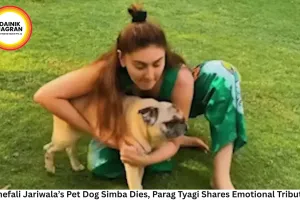 Shefali Jariwala’s Pet Dog Simba Dies, Parag Tyagi Shares Emotional Tribute