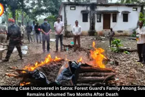 Tiger Poaching Case in Satna: Forest Watchman’s Family Under Scanner, Tiger Remains Exhumed After Two Months