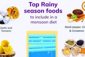 Monsoon Immunity Booster: 5 Natural Health Hacks for Rainy Season 2026