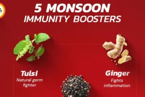 Monsoon Immunity Booster: 5 Natural Health Hacks for Rainy Season 2026