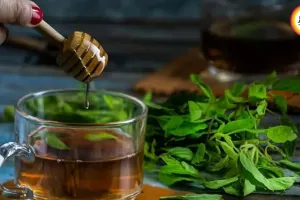 Monsoon Immunity Boost: 5 Herbal Kadha Recipes for Rainy Season 2026