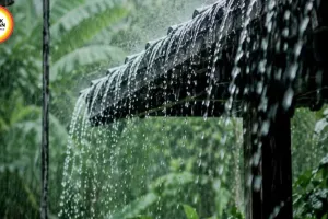 Monsoon Cleaning Hacks 2026: 5 Natural Ways to Keep Home Fresh and Pest-Free